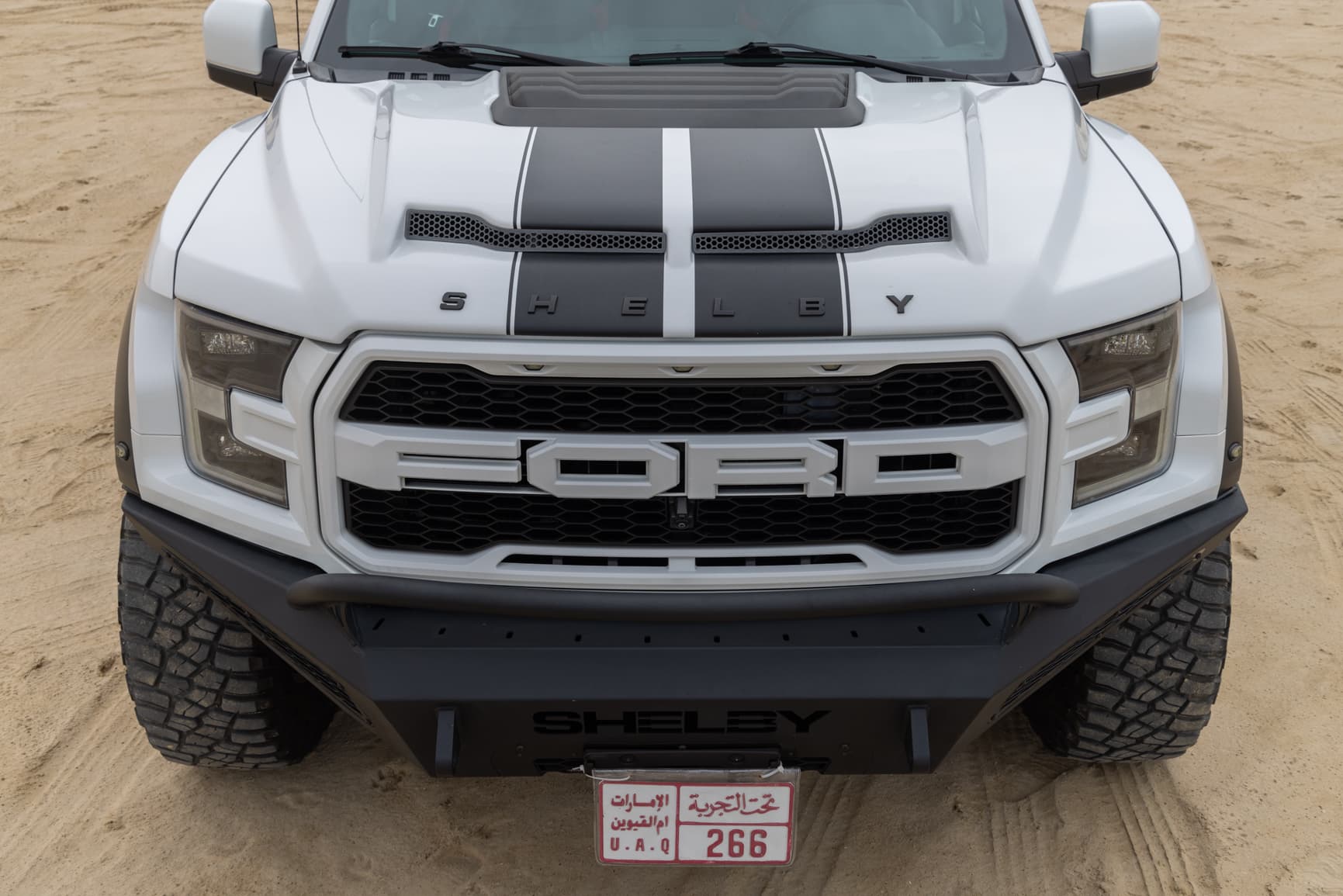 image 20 of car Ford F-150 Shelby Baja Raptor