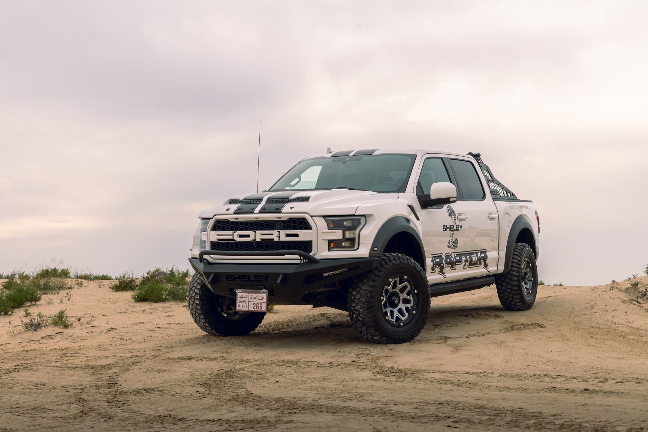 image 91 of car Ford F-150 Shelby Baja Raptor